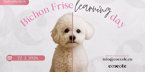 BICHON BRILLIANCE MASTERCLASS