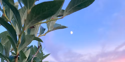 Yoga at Twin Crix - May 2