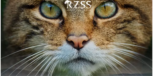 Film Screening: Clinging by a Claw