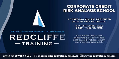 Corporate Credit Risk Analysis School
