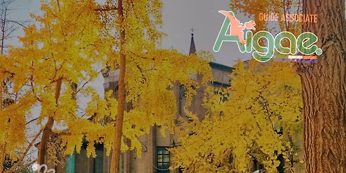 BOLOGNA CITY, IL FOLIAGE DEI GINKO BILOBA