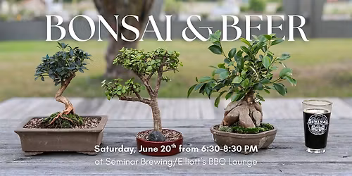 Bonsai & Beer (2nd Date)