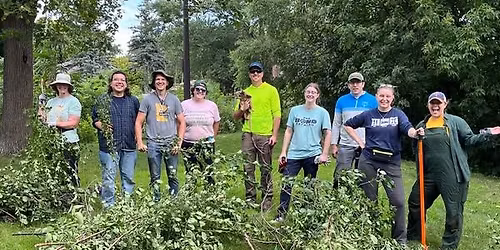 Garlic Mustard Pull at Silver Lake Beach 