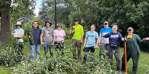 Garlic Mustard Pull at Silver Lake Beach 
