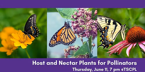 Host and Nectar Plants for Pollinators
