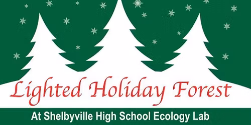 Lighted Holiday Forest 2025