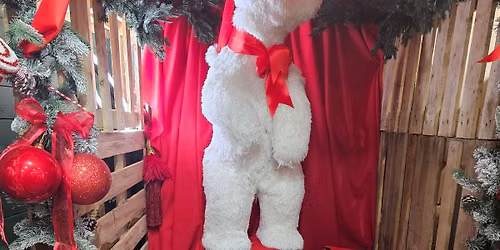 SAA Christmas Fair