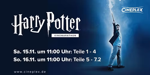 Harry Potter Marathon (Teil 1 - 4)