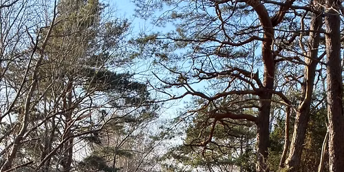 V\u00e5rdagj\u00e4mning-ceremoni