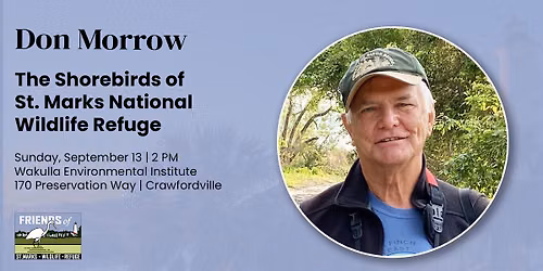 Second Sunday Talk: Shorebirds of St. Marks National Wildlife Refuge, with Don Morrow