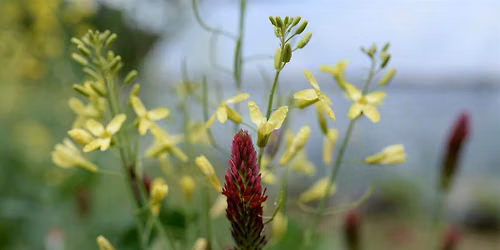 The Value of Cover Crops Workshop