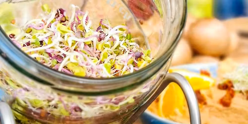 Sprossen selber ziehen - Workshop 29. November 2025 in Z\u00fcrich