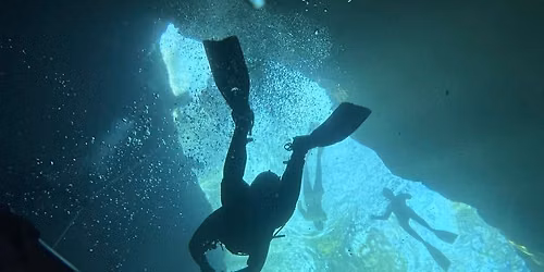 Salty Divers Shark Dive