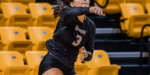 Towson Volleyball vs. Stony Brook