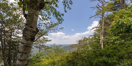 Spring at High Ledges