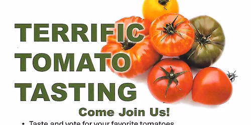 Terrific Tomato Tasting