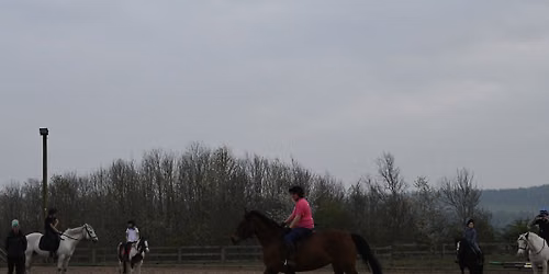 Ashley Suddes Pole work and Cavaletti clinic
