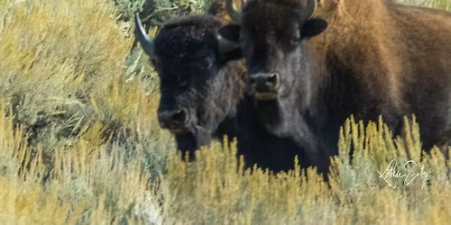 Sunbelt Photography Monthly Meeting