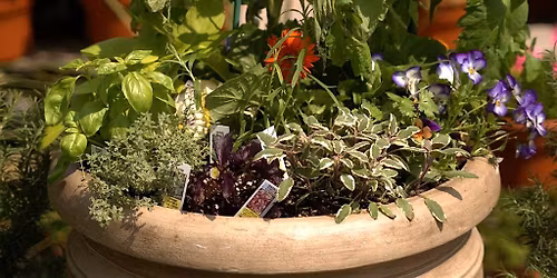 Pots of Possibilities \u2013 Mother\u2019s Day Temptations