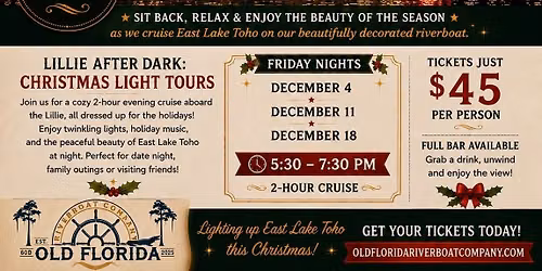Lillie After Dark-Christmas Light Tours