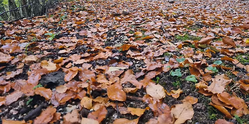 L’anello del monte Fietone e la Valcaldara (E)