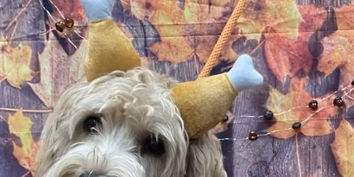 Sweater Weather Photoshoot