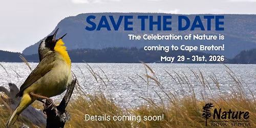 The Celebration of Nature: 2026