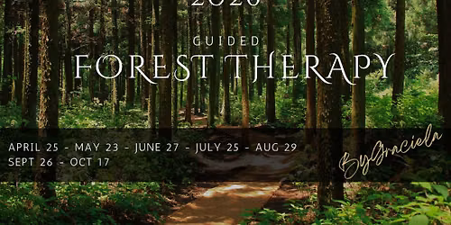 Guided Forest Therapy
