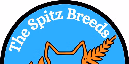 The Spitz Breeds Club Championship Show 2026