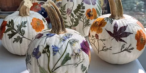 Pressed Flower Pumpkin Making