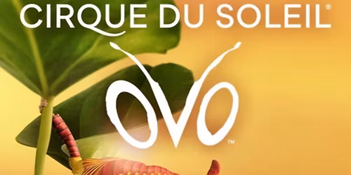 Cirque Du Soleil: Ovo