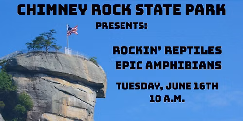 Chimney Rock Park-Rockin' Reptiles and Epic Amphibians