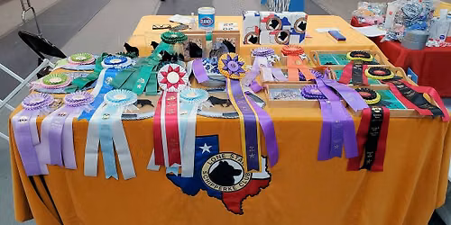 Lone Star Schipperke Club Specialty Shows \u2728\ud83c\udf89 FOUR SHOWS \u2022 TWO DAYS \u2022 ONE HISTORIC WEEKEND!