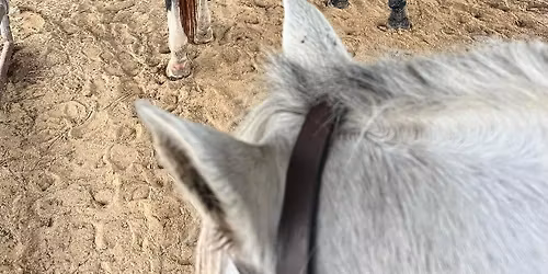 Just Jumpers #4 at SSBC