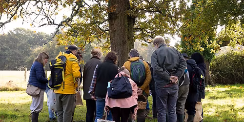 Urban Foraging in Winchester - A Taste of Winchester