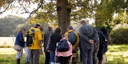 Urban Foraging in Winchester - A Taste of Winchester