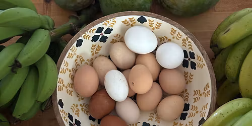 First Sundays Farmer's Market + LUNCH @ Sacred Soul Farm!