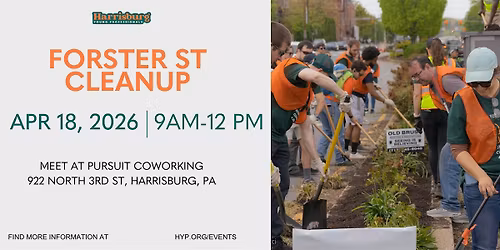 Forster Street Cleanup