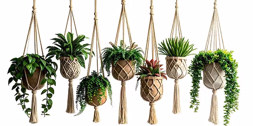 Macrame Plant Hanger Workshop