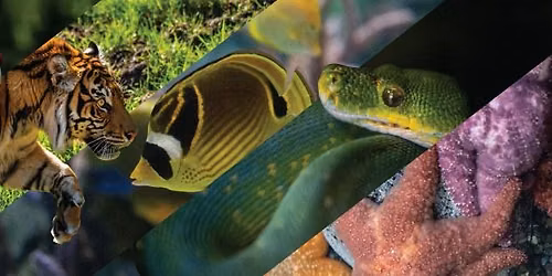 Pride Celebration at Point Defiance Zoo & Aquarium