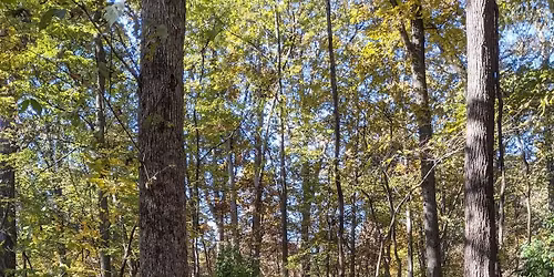 New Salem Habitat Restoration Work Day