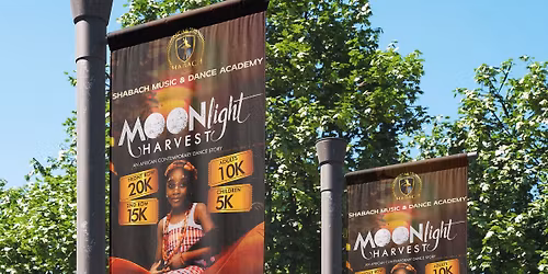 Moonlight Harvest, An African contemporary dance play