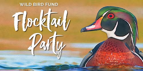 Flocktail Party