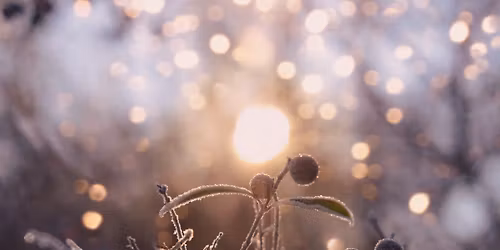 Winter Solstice Yoga