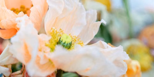 BLUMENKURS FIEDA & EMIL
