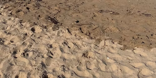 Beach Yoga Woolacombe