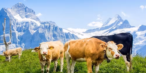 \u0160veicarija\u2026 kvap\u0105 gniau\u017eianti Alpi\u0173 kaln\u0173 karalyst\u0117 (8d.7n.) 2026.07.01 - 2026.07.08 