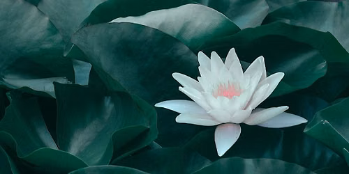 A Day of Mindfulness: "Peace is Every Breath"