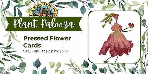 Pressed Flower Cards