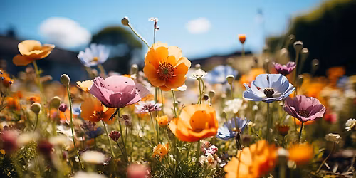 Retreat: Bloom & Create